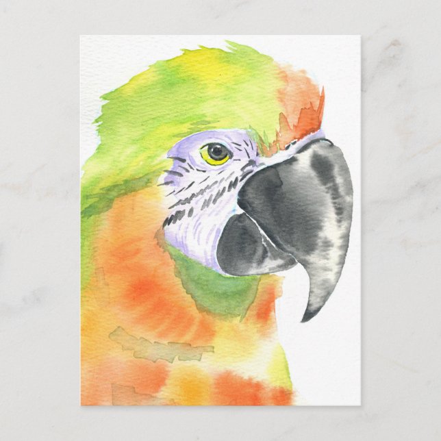 Carte Postale Aquarelle de perroquet (Devant)