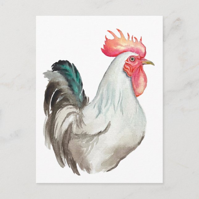 Carte Postale Aquarelle dessinée à la main d'un coq (Devant)