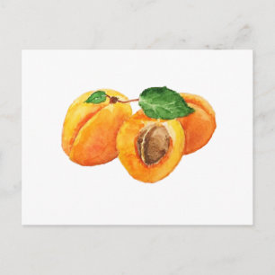 Carte Postale Aquarelle d'été