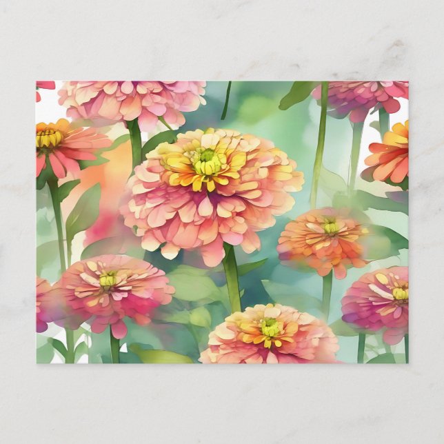 Carte Postale Aquarelle douce Zinnia Floral (Devant)