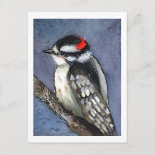 Carte Postale Aquarelle Downy Woodpecker