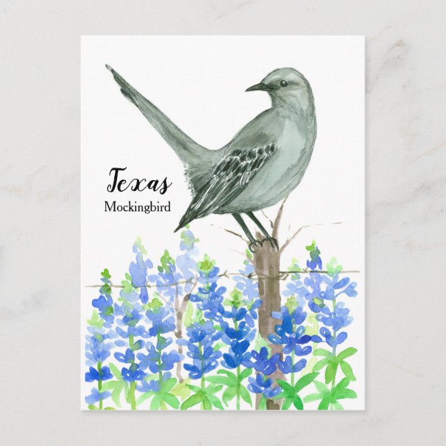 Carte Postale Aquarelle du Texas Mockingbird Bluebonnet (Devant)