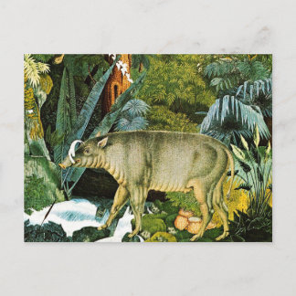 Carte Postale Aquarelle d'un porc sauvage Babirusa