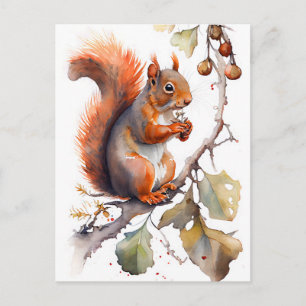 Carte Postale Aquarelle Écureuil Manger des noix