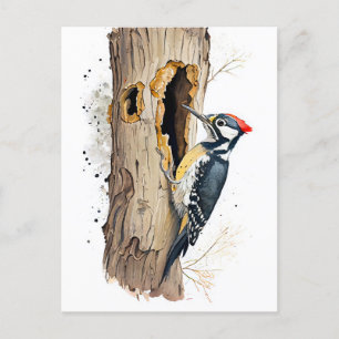 Carte Postale Aquarelle Eurasian Treecreeper à la recherche d'In