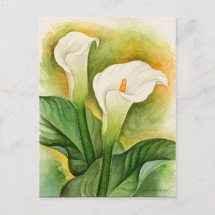 Carte Postale Aquarelle florale de lis calla blanc