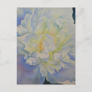 Carte Postale Aquarelle florale élégante pivoine blanche jaune