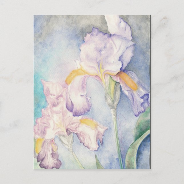 Carte Postale Aquarelle florale Irises la plus douce (Devant)