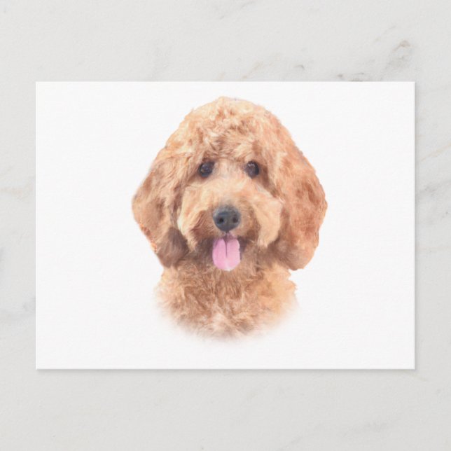 Carte Postale Aquarelle Goldendoodle (Devant)
