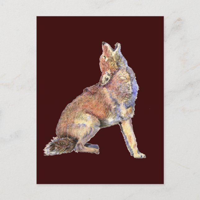 Carte Postale Aquarelle Howling Coyote, Animal, Nature Faune (Devant)