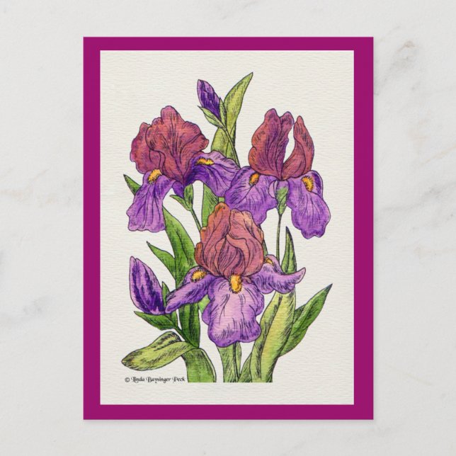 Carte Postale Aquarelle Irises (Devant)