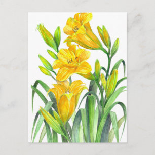 Carte Postale Aquarelle Jaune Lys Floral Illustration