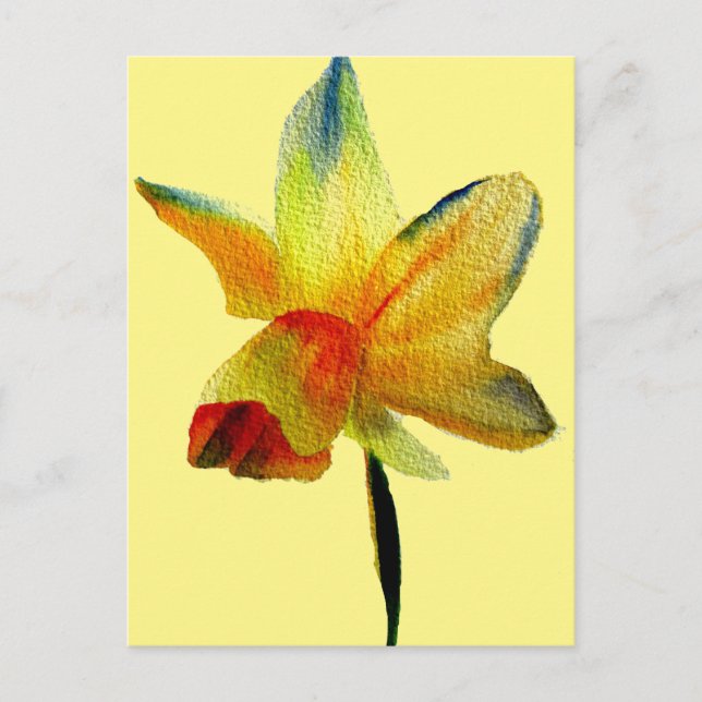 Carte Postale Aquarelle jonquille jaune art Fleur de printemps (Devant)