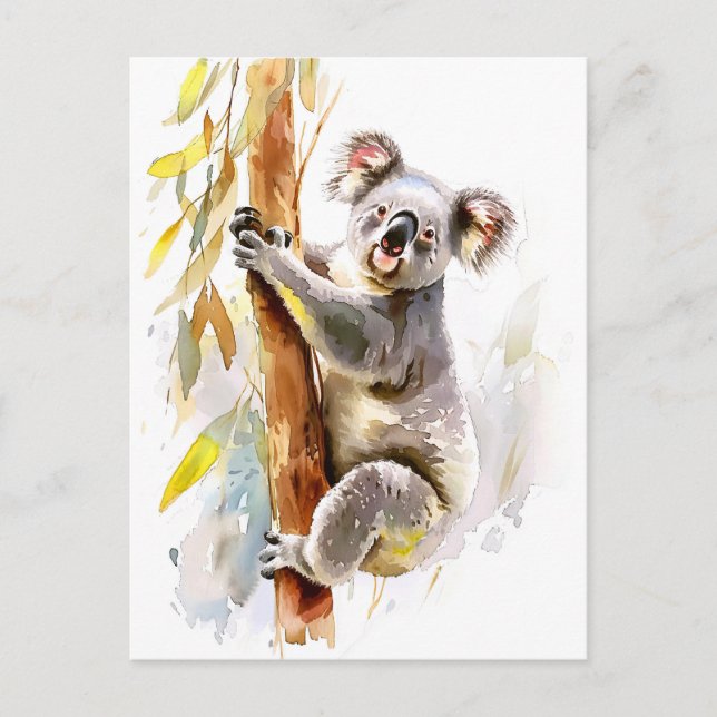 Carte Postale Aquarelle Koala grimpant à l'eucalyptus (Devant)