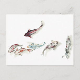 Carte Postale Aquarelle Koi Fish