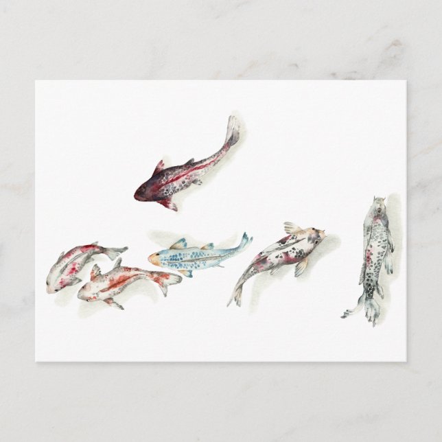 Carte Postale Aquarelle Koi Fish (Devant)