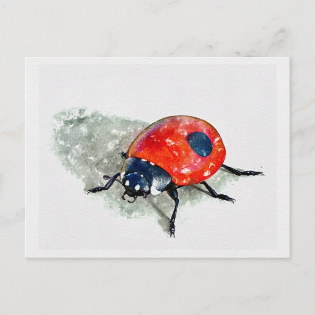 Carte Postale Aquarelle Lady Bug (Devant)