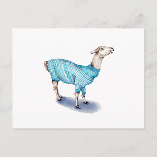 Carte Postale Aquarelle Llama en bleu Sweat (Devant)