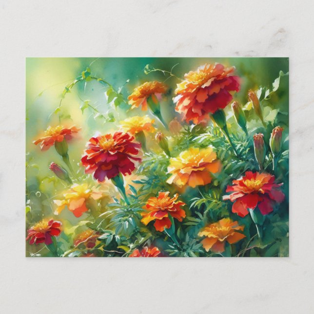 Carte Postale Aquarelle Marigolds et verdure (Devant)