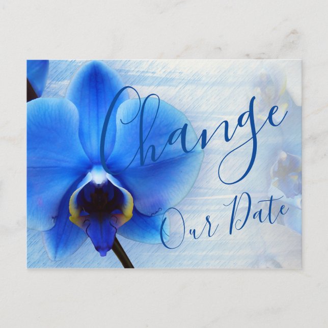 Carte Postale Aquarelle moderne bleu orchidée florale (Devant)