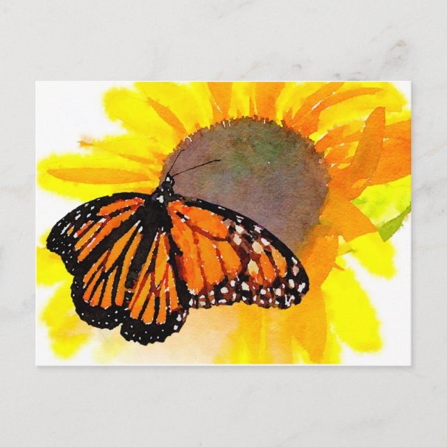 Carte Postale Aquarelle Monarque papillon et tournesol (Devant)