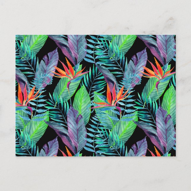 Carte Postale Aquarelle Oiseau Du Paradis 2 (Devant)