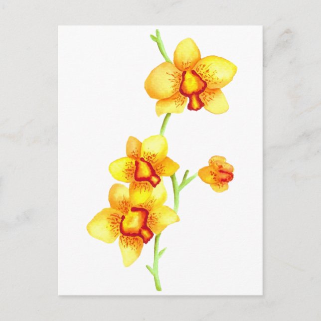 Carte postale Aquarelle Orchidées Jaunes (Devant)