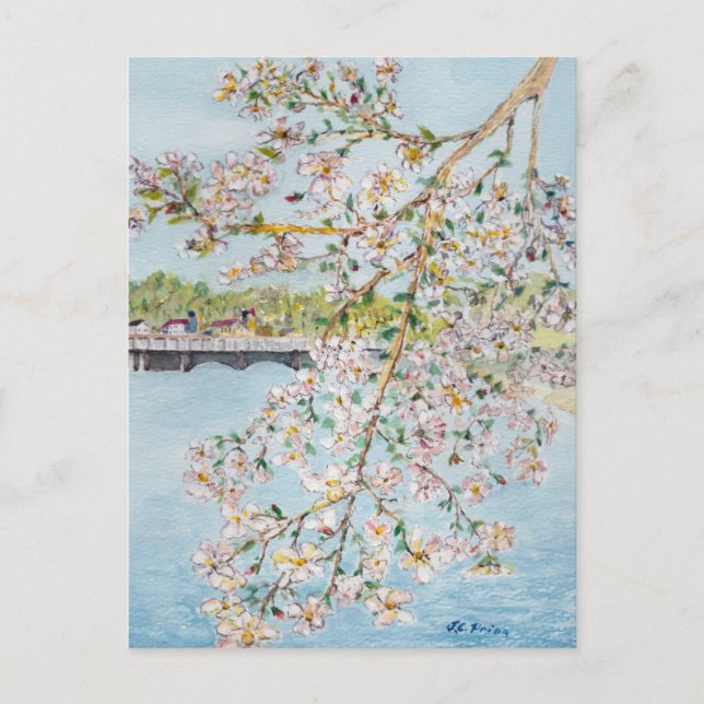 Carte Postale Aquarelle Painterly de Washington DC de fleurs de (Devant)