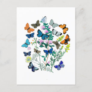 Carte Postale Aquarelle Papillons Fleurs Printemps Été