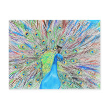Aquarelle Peacock peinture