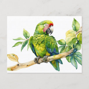 Carte Postale Aquarelle Perroquet vert sur une branche d'arbre