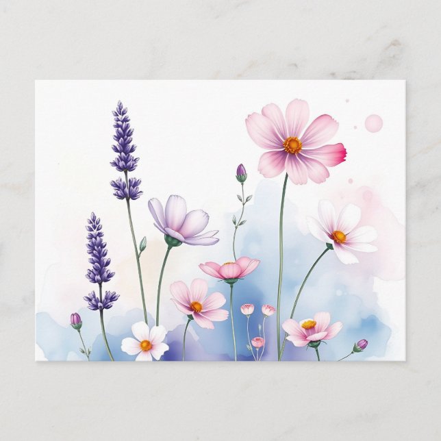 Carte Postale Aquarelle rêveuse lavande et cosmos (Devant)