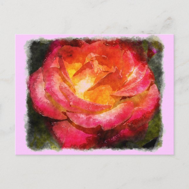 Carte Postale Aquarelle Rose flamboyante (Devant)
