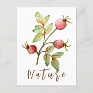 Carte Postale Aquarelle rose hanches