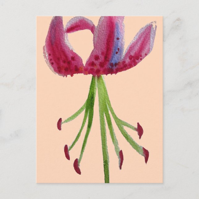 Carte Postale Aquarelle rose Lily art floral moderne (Devant)