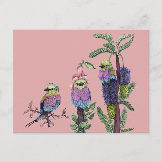 Carte Postale Aquarelle rose mignonne Illustration d'oiseaux afr (Devant)