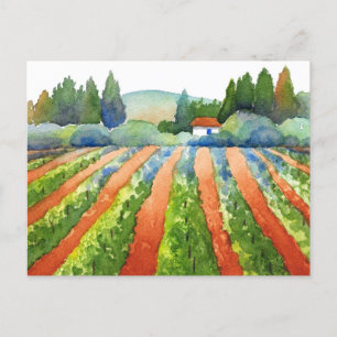 Carte Postale Aquarelle rouge vert bleu vigne