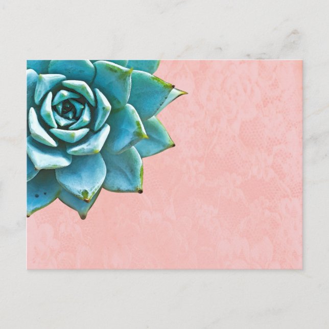 Carte Postale Aquarelle Succulente Dentelle rose (Devant)