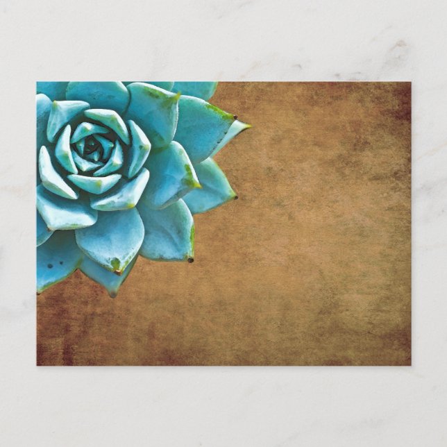 Carte Postale Aquarelle Succulente Rustique Brown (Devant)