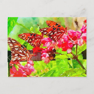 Carte Postale Aquarelle Trois papillons fétitilaux du Golfe