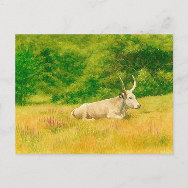 Carte postale aquarelle Vache Blanche (Devant)