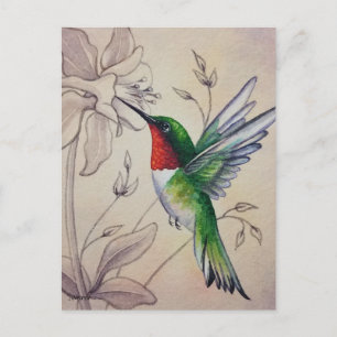 Carte Postale Aquarelle Vintage Hummingbird numéro 6