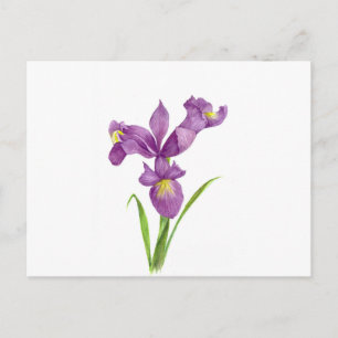Carte Postale Aquarelle violet Iris Botanique Floral Art