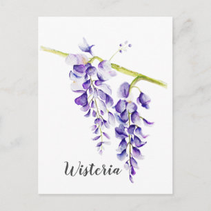 Carte Postale Aquarelle Wisteria Botanique