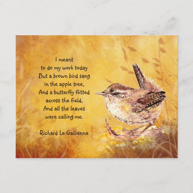 Carte Postale Aquarelle Wren Bird pour les amateurs d'oiseaux (Devant)