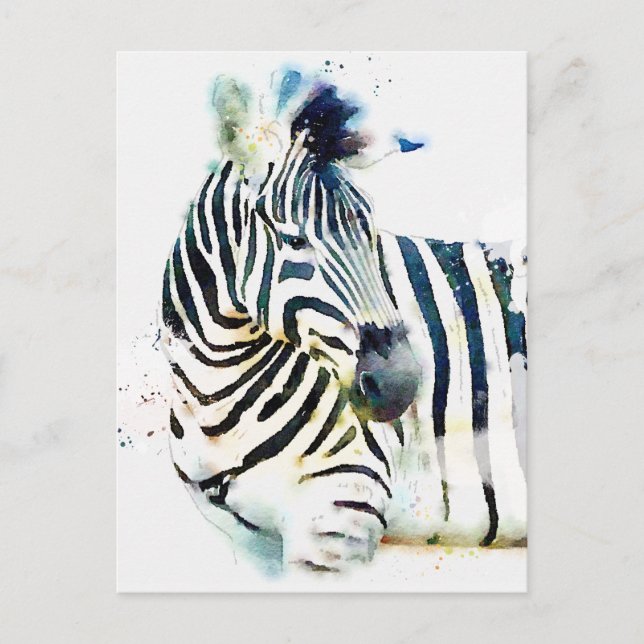 Carte Postale Aquarelle Zebra (Devant)