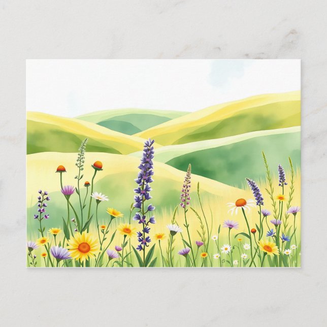 Carte Postale Aquarelles Fleurs sauvages et collines de prairie  (Devant)