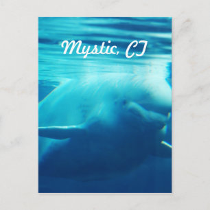 Carte Postale Aquarium