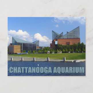 Carte Postale Aquarium de Chattanooga