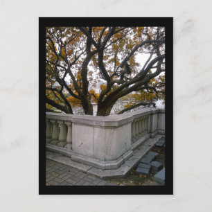 Carte Postale aquarium de shedd :: automne